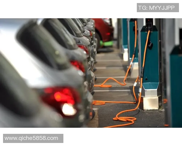 天猫与太阳比赛深度分析及胜负预测探讨 天猫与太阳比赛深度分析及胜负预测探讨